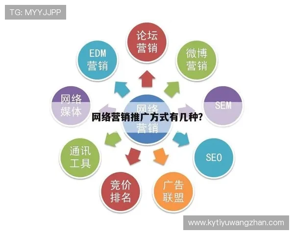 结合SEO与内容营销的开云网站推广方法提升搜索排名与品牌影响力