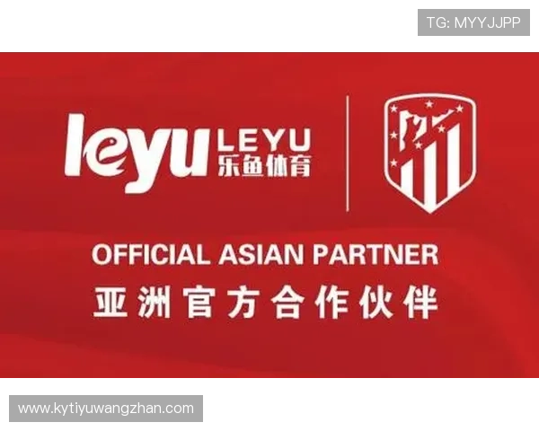 乐鱼开云体育平台安全保障措施详解确保用户资金与个人信息安全的全面策略